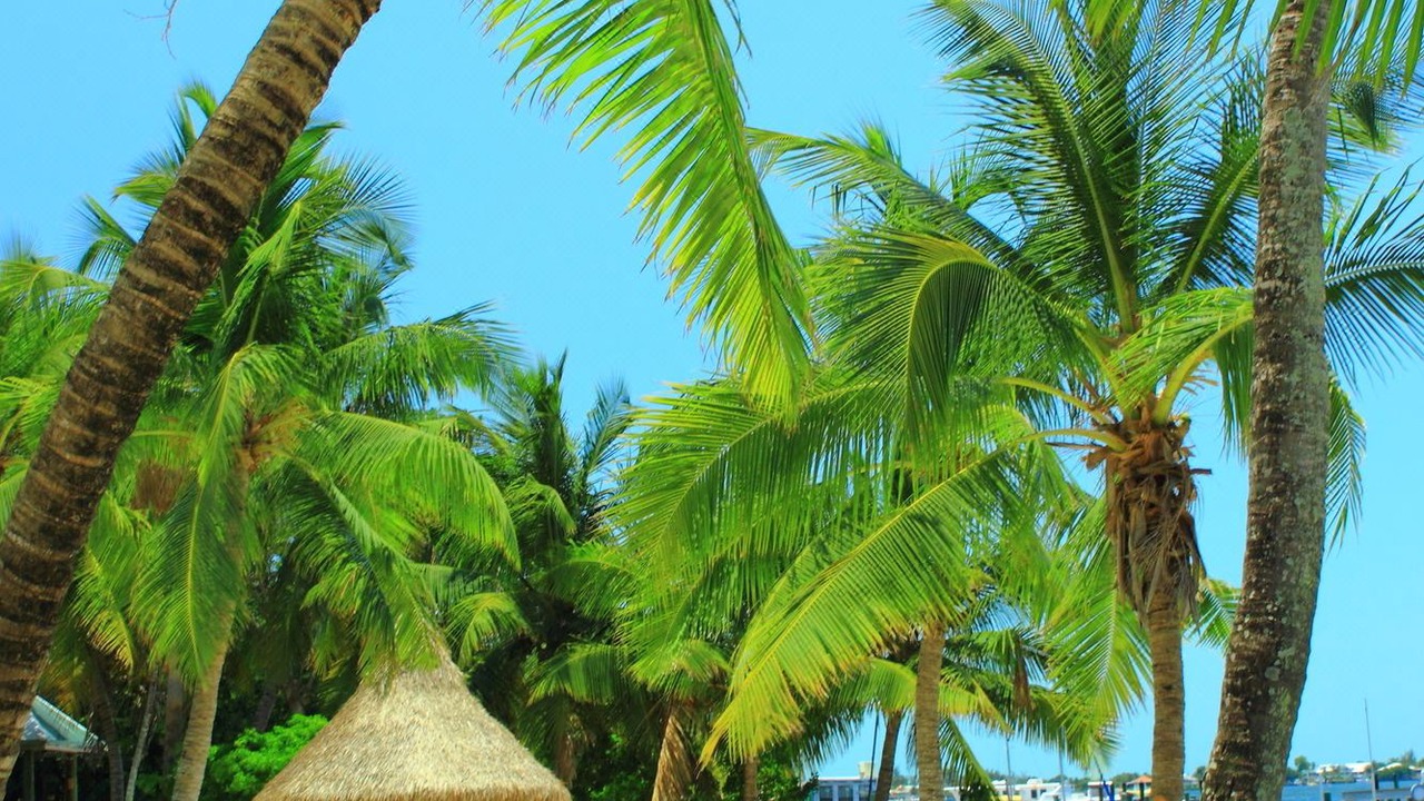 Photo of Outdoor in Key Largo