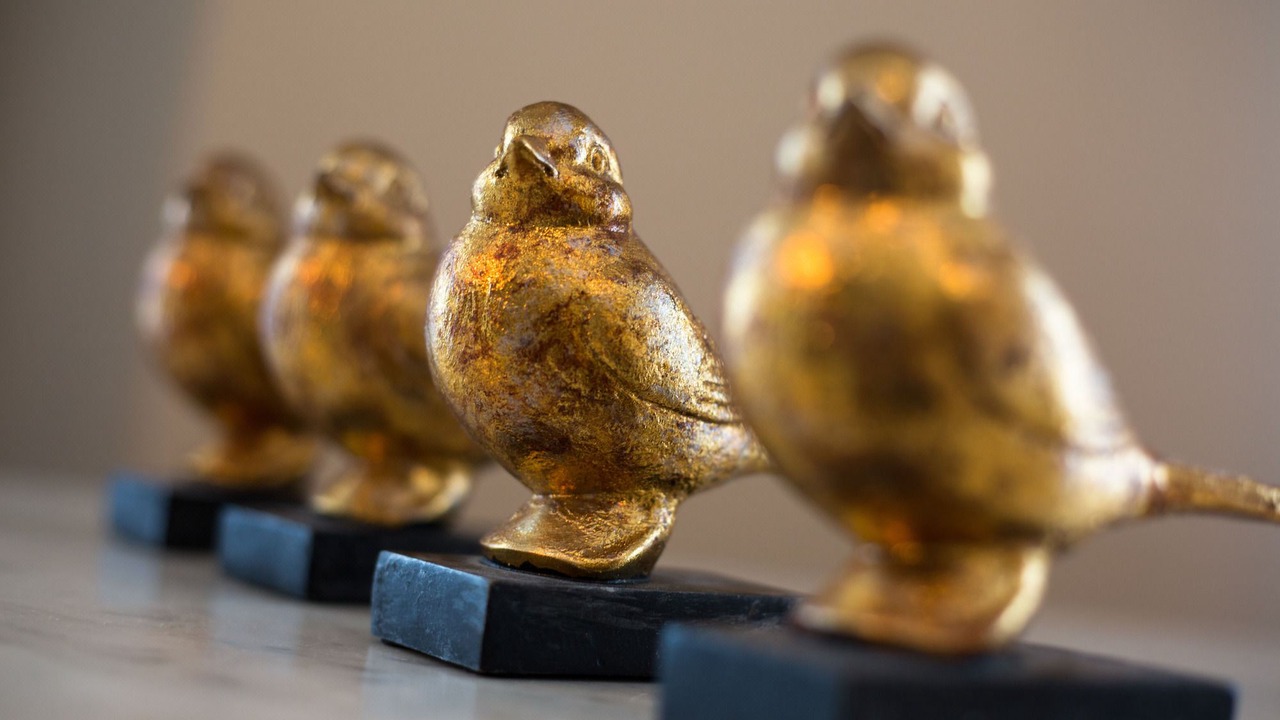 Photo of Others in Avignon City Centre