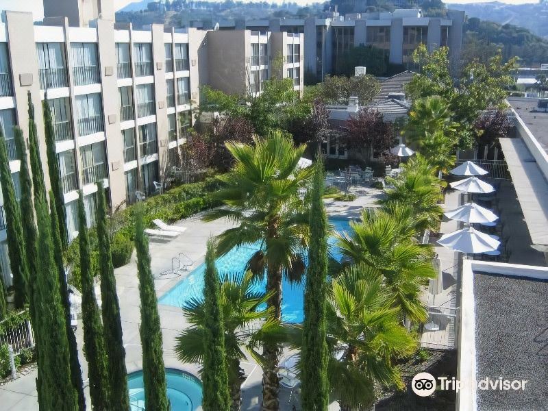 Photo of Buildings in San Rafael