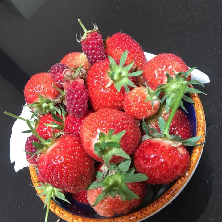 Photo of Livingroom in Lanark
