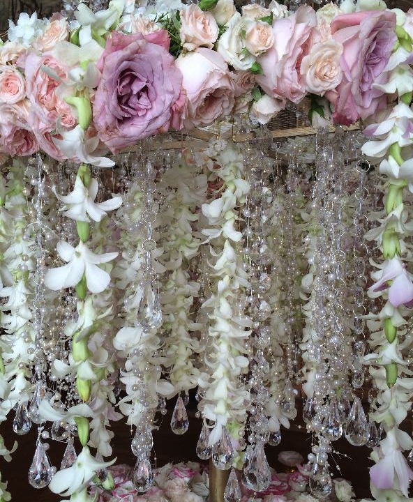 Photo of Others in Chantilly