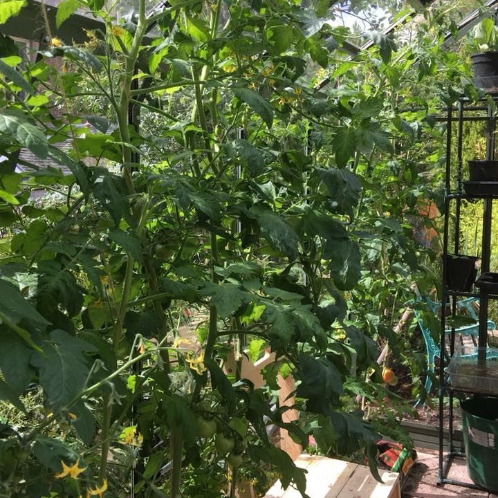 Photo of Others in Lanark