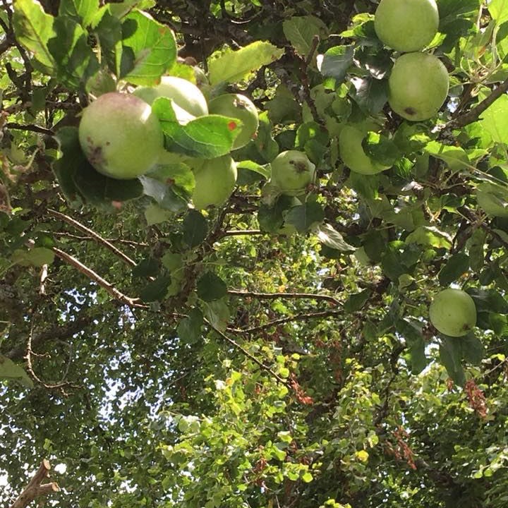 Photo of Outdoor in Lanark
