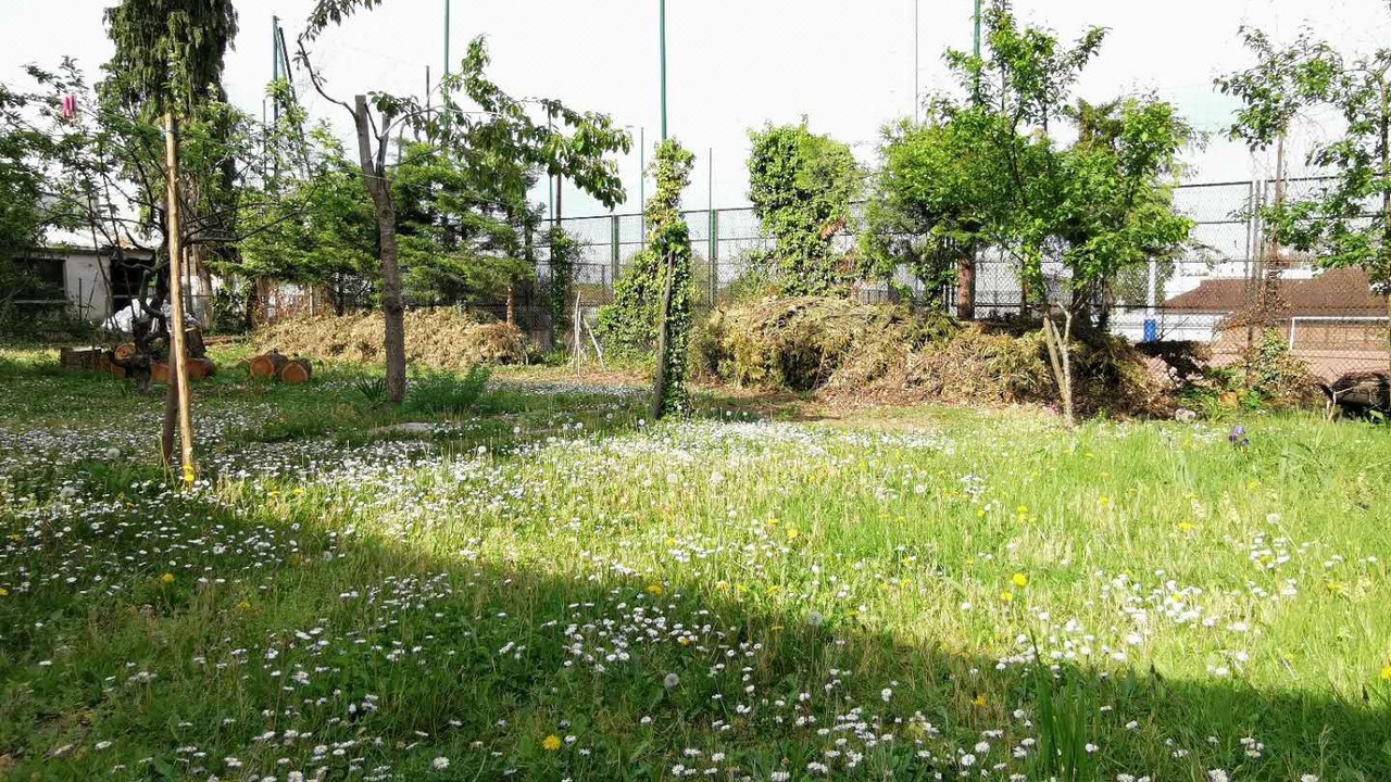 Photo of Others in Vitry-sur-Seine