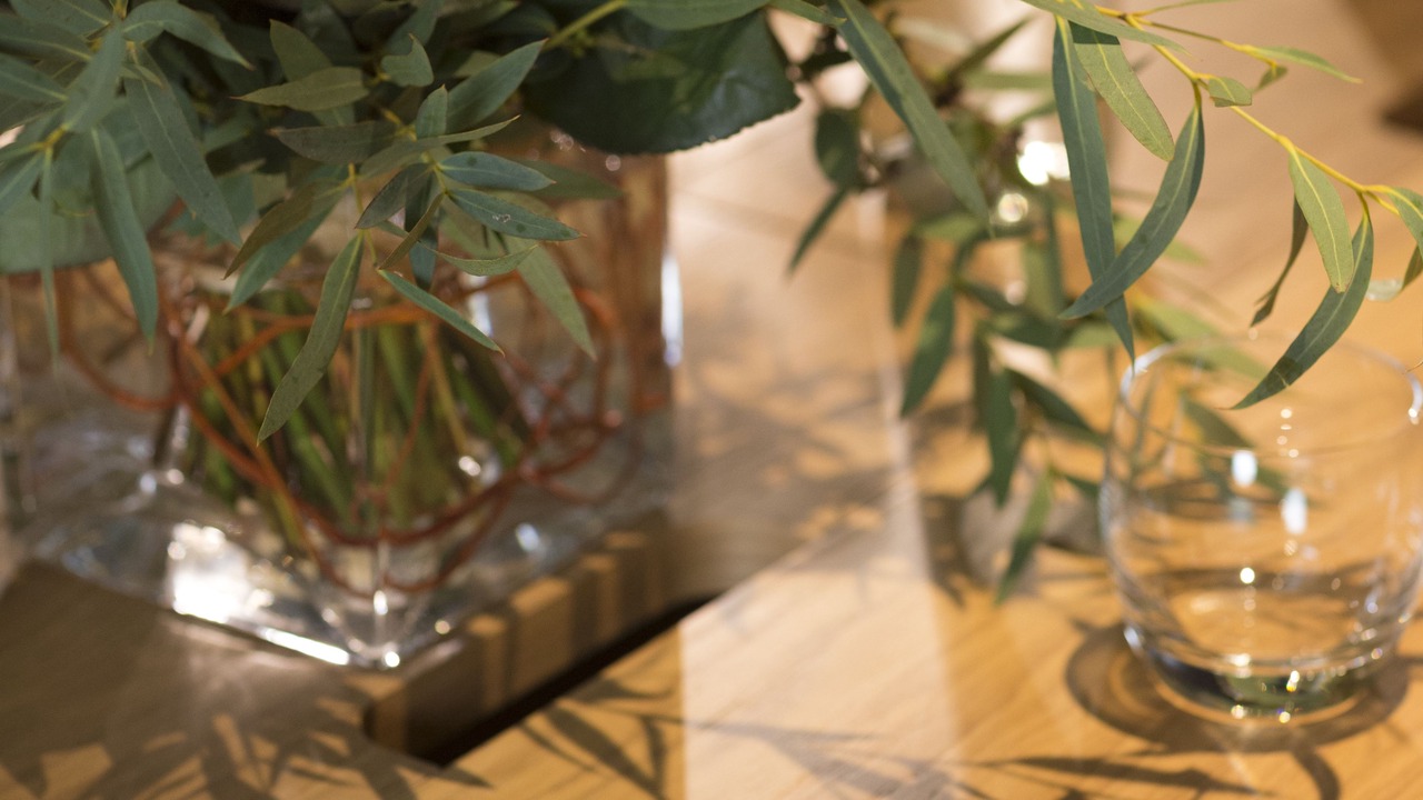 Photo of Patio Balcony in Vineuil-Saint-Firmin