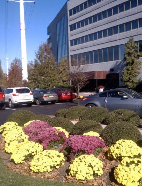 Photo of Others in Red Bank