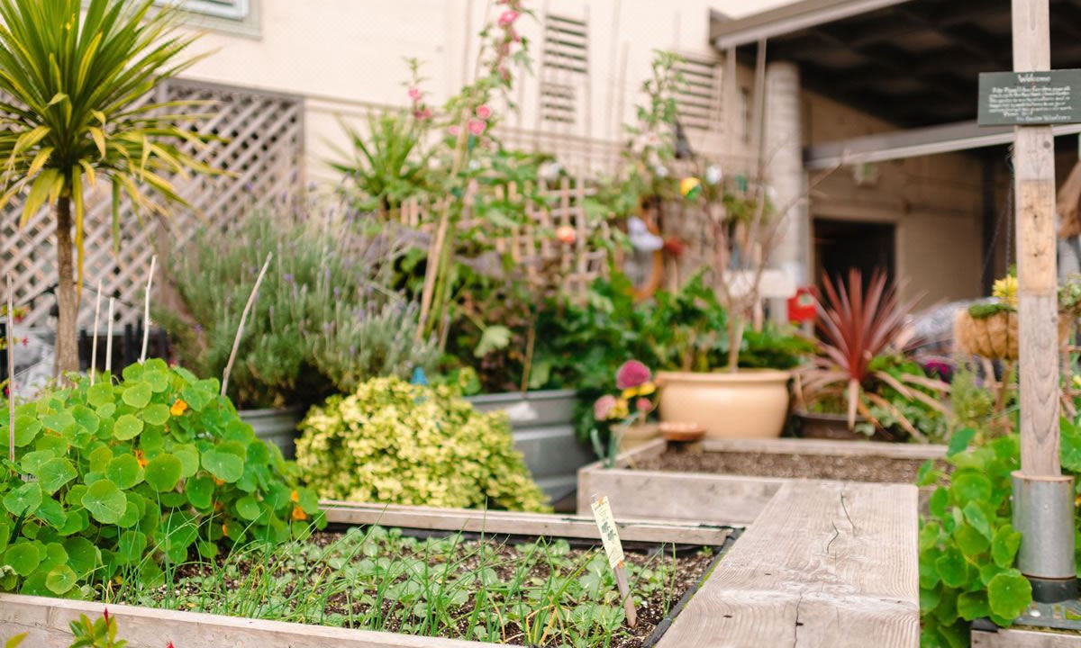 Photo of Others in Downtown Seattle