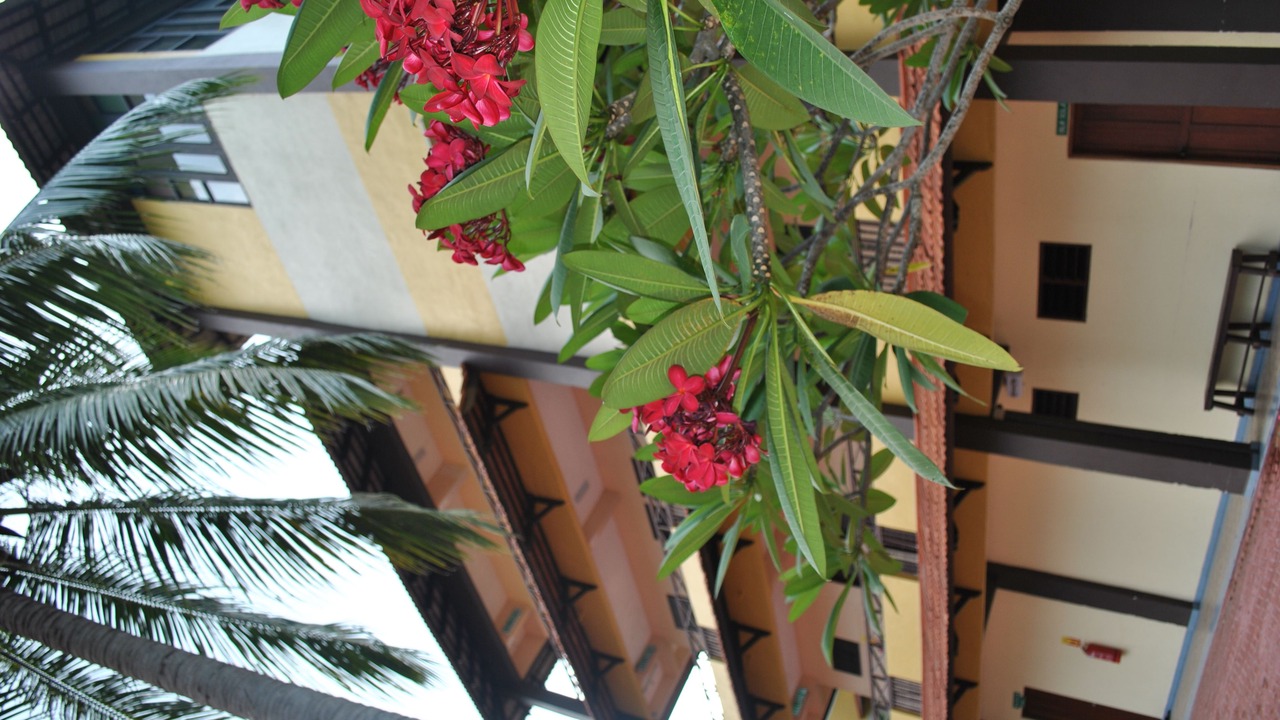 Photo of Buildings in Pangkor Island