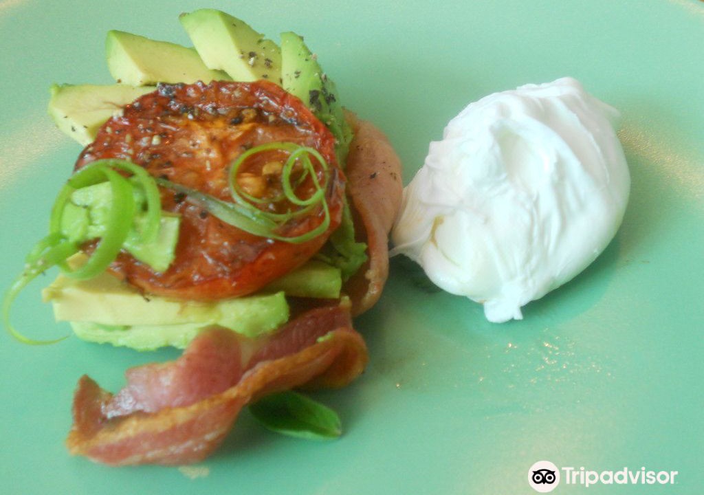 Photo of Others in Ponsonby