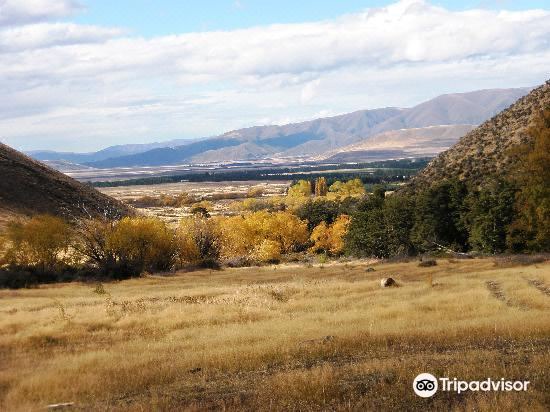 Photo of Others in Omarama