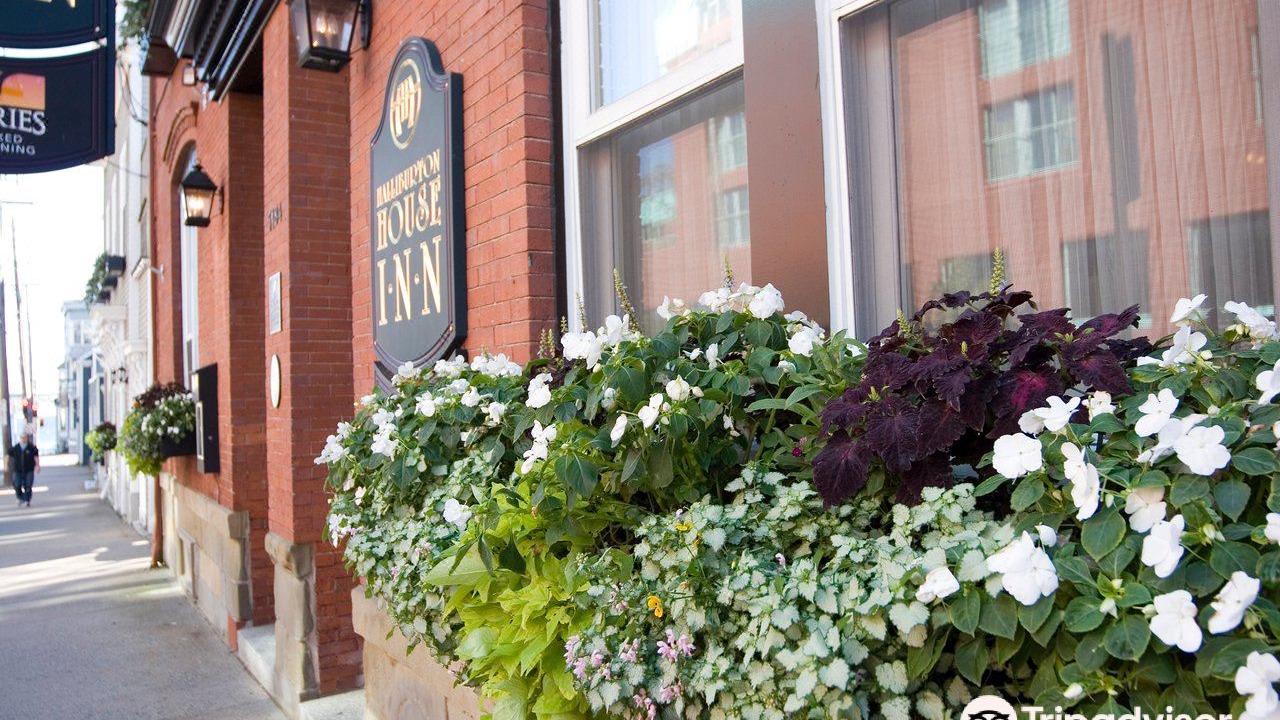 Photo of Buildings in Downtown Halifax