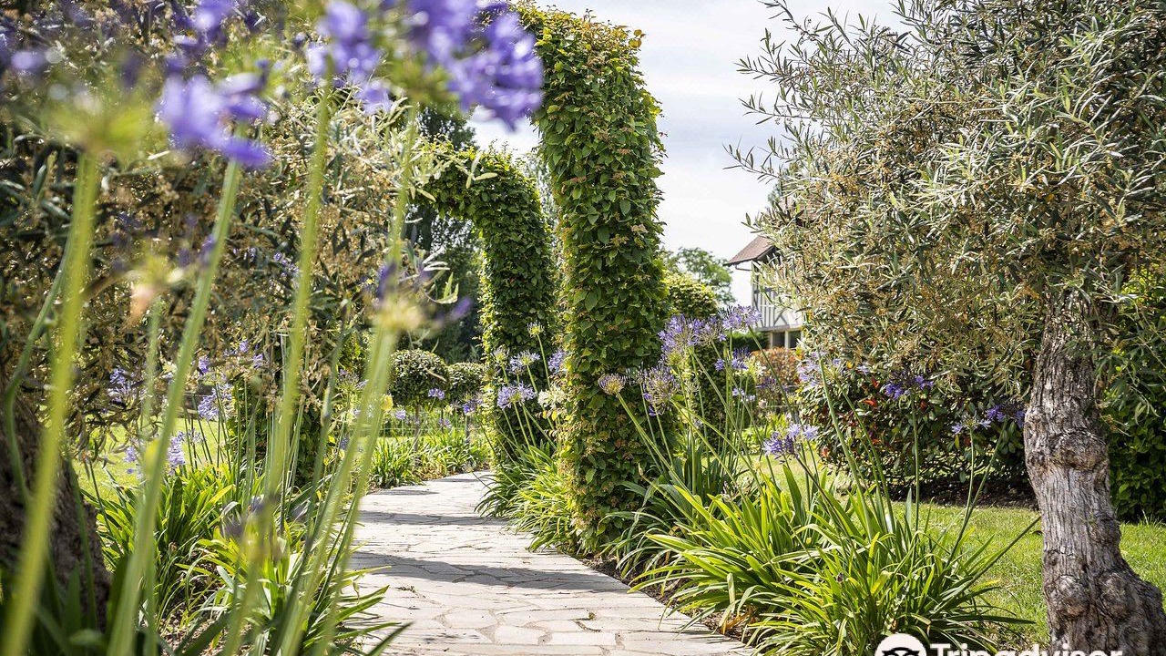 Photo of Others in Cricqueboeuf