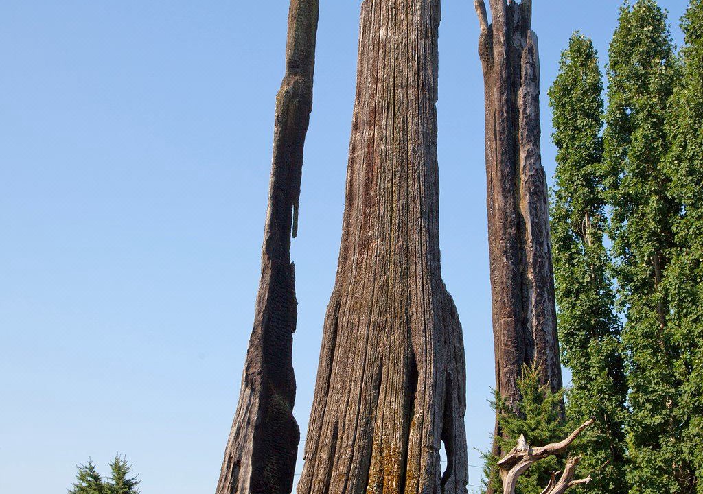 Photo of Buildings in Woodinville