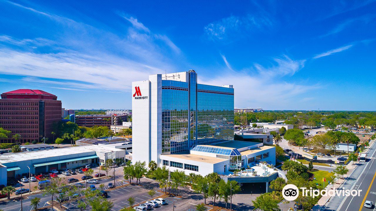 Photo of Outdoor in Callahan