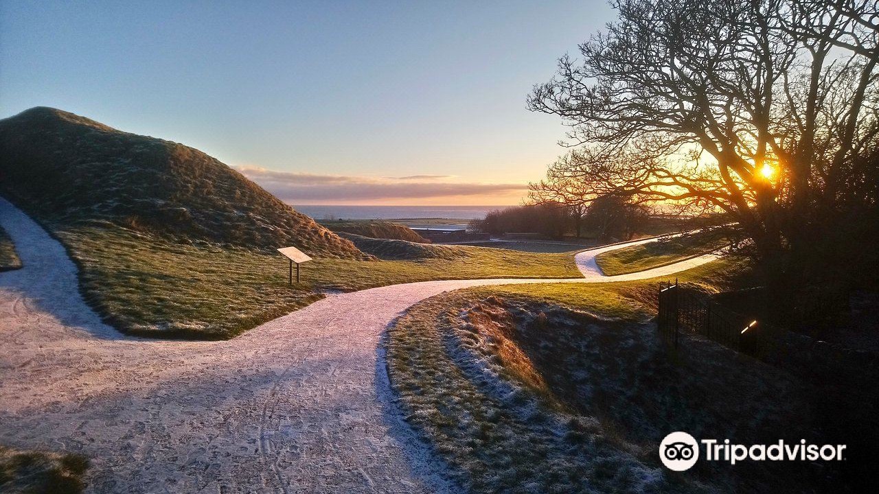 Photo of Others in Berwick-upon-Tweed