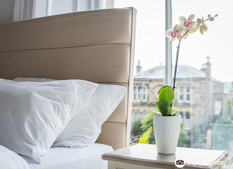 Photo of Others in Newington