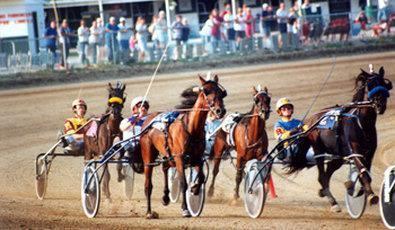 Photo of Human In Picture in Delaware