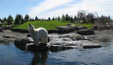 Photo of Others in Delaware