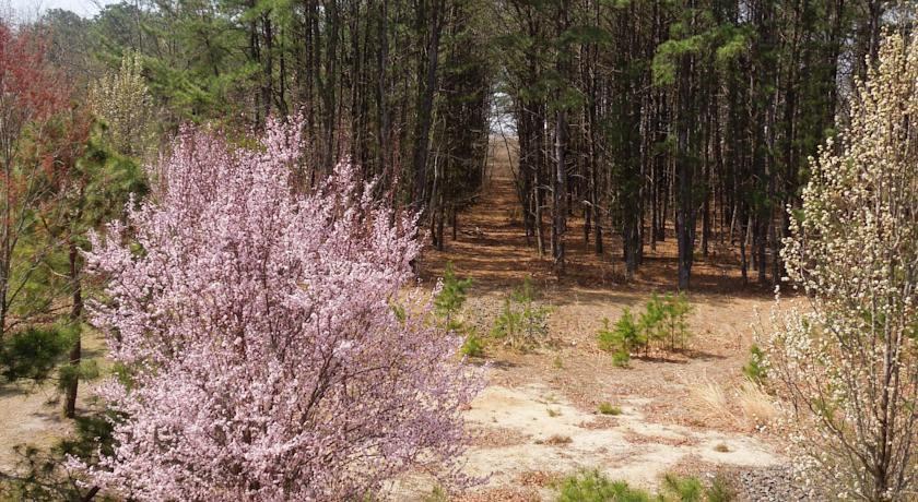 Photo of Others in Pomona