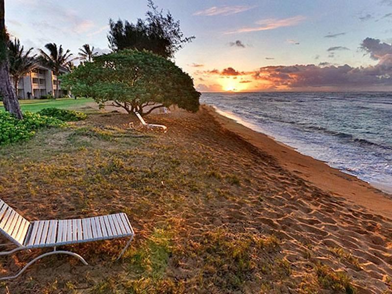 Photo of Others in Wailua