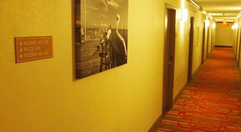 Photo of Bedroom in Survey Creek