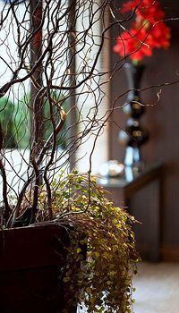 Photo of Others in Bercy