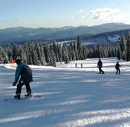 Photo of Others in Mount Shasta