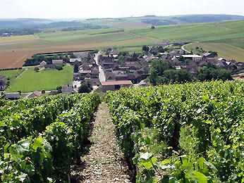 Photo of Outdoor in Venoy