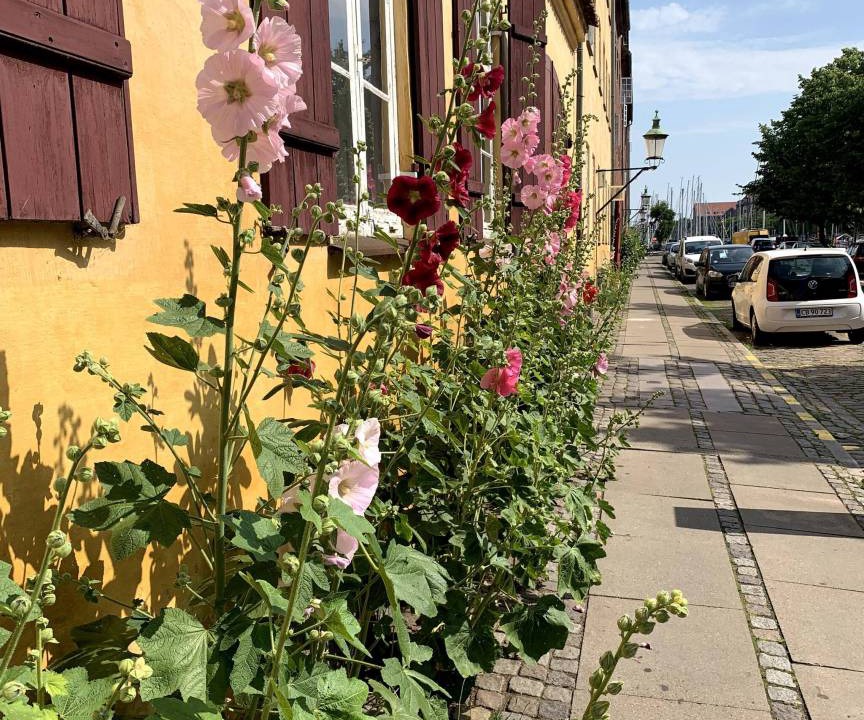 Photo of Others in Christianshavn