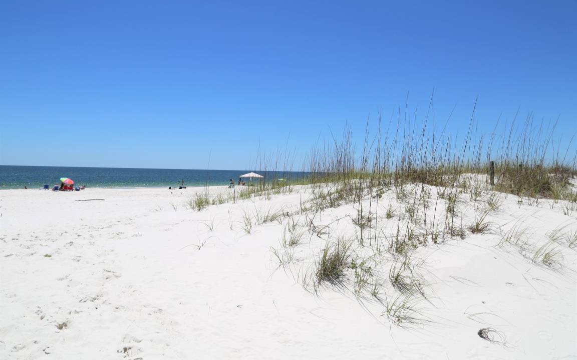 Photo of Others in Gulf Shores