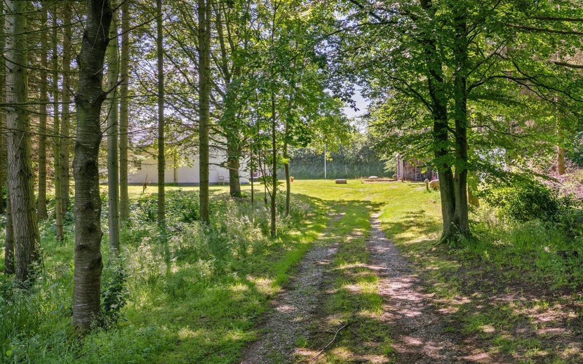 Photo of Outdoor in Skallerup Klit