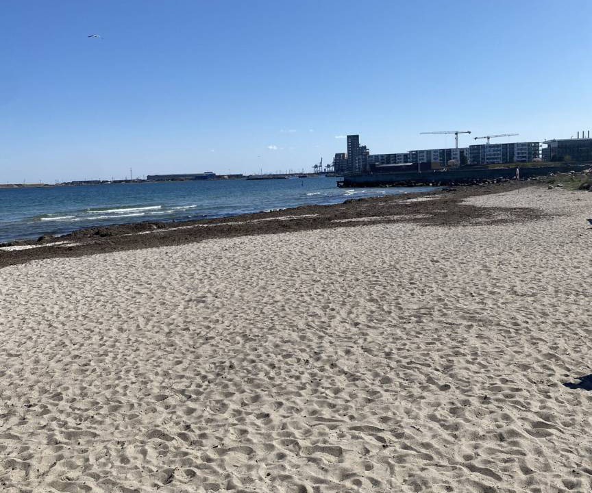 Photo of Others in Strandvejen