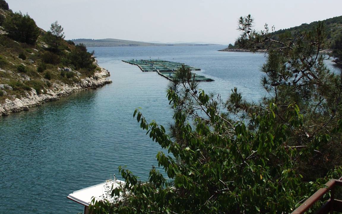 Photo of Others in Island Dugi Otok