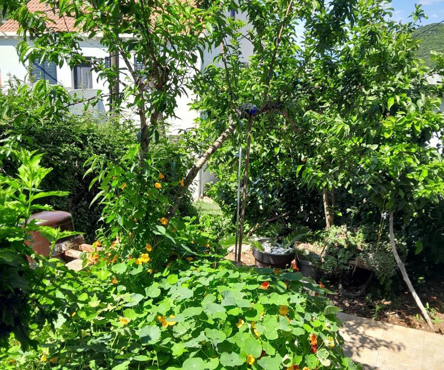 Photo of Outdoor in Prozurska Luka
