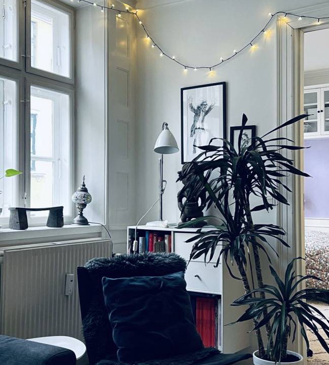 Photo of Others in Copenhagen City Centre