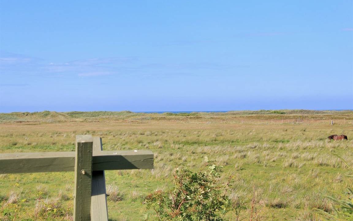 Photo of Others in Torup Strand