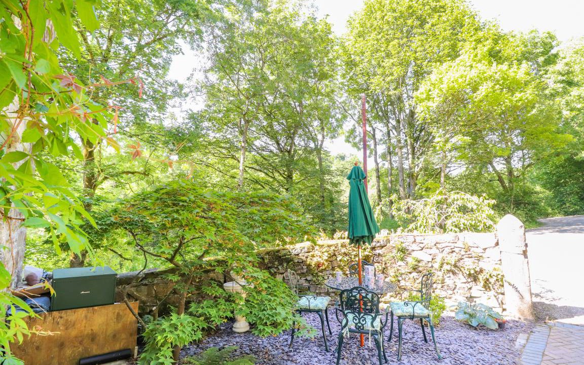 Photo of Others in Mold