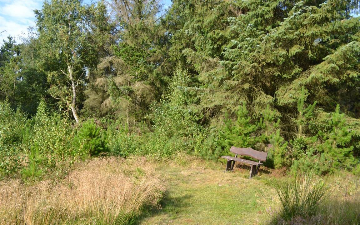 Photo of Others in Havneby