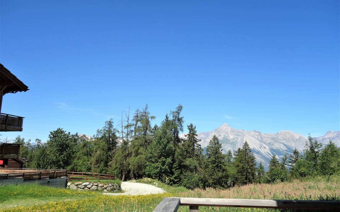 Photo of Others in Veysonnaz
