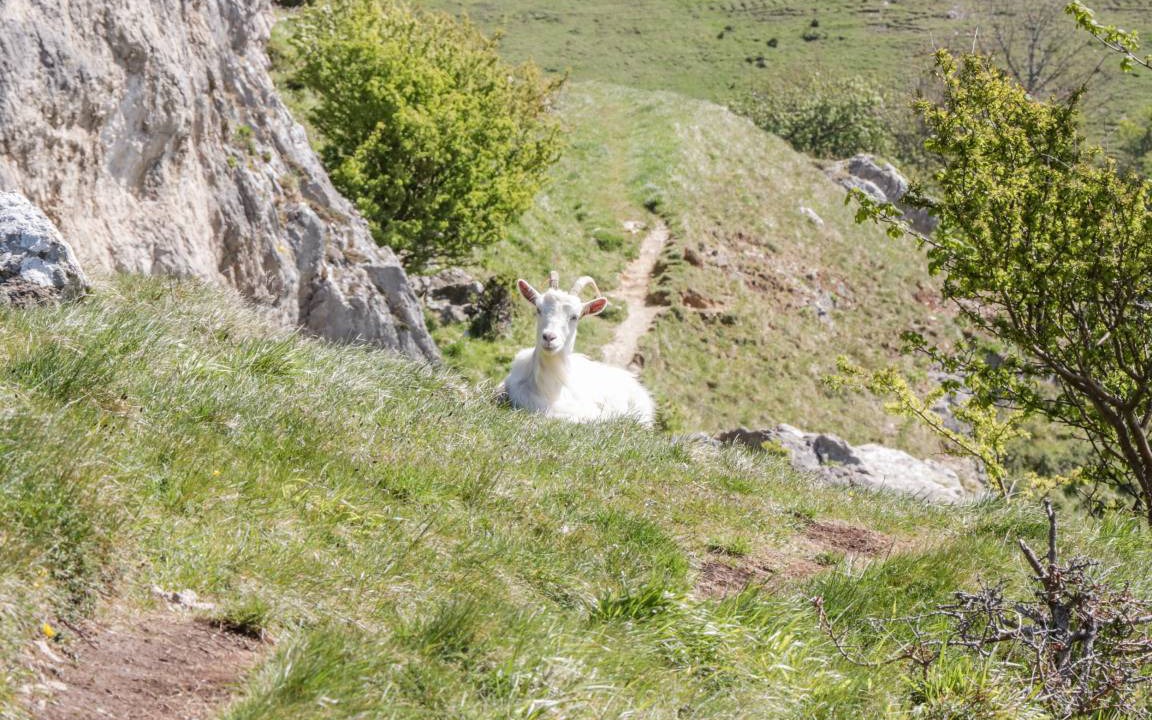 Photo of Others in Llandudno