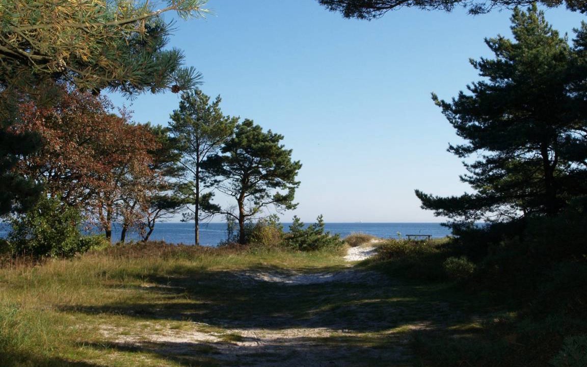 Photo of Others in Bedegaard