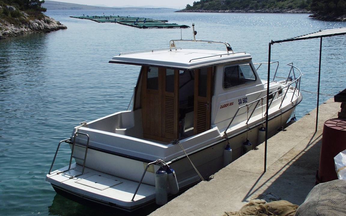 Photo of Others in Island Dugi Otok