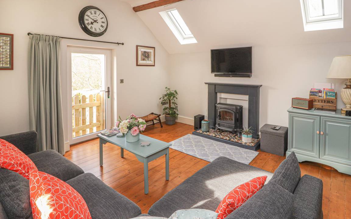 Photo of Others in Mold