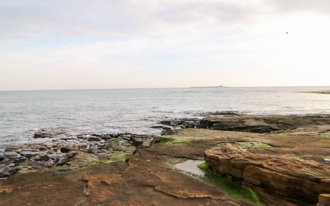 Photo of Others in Amble