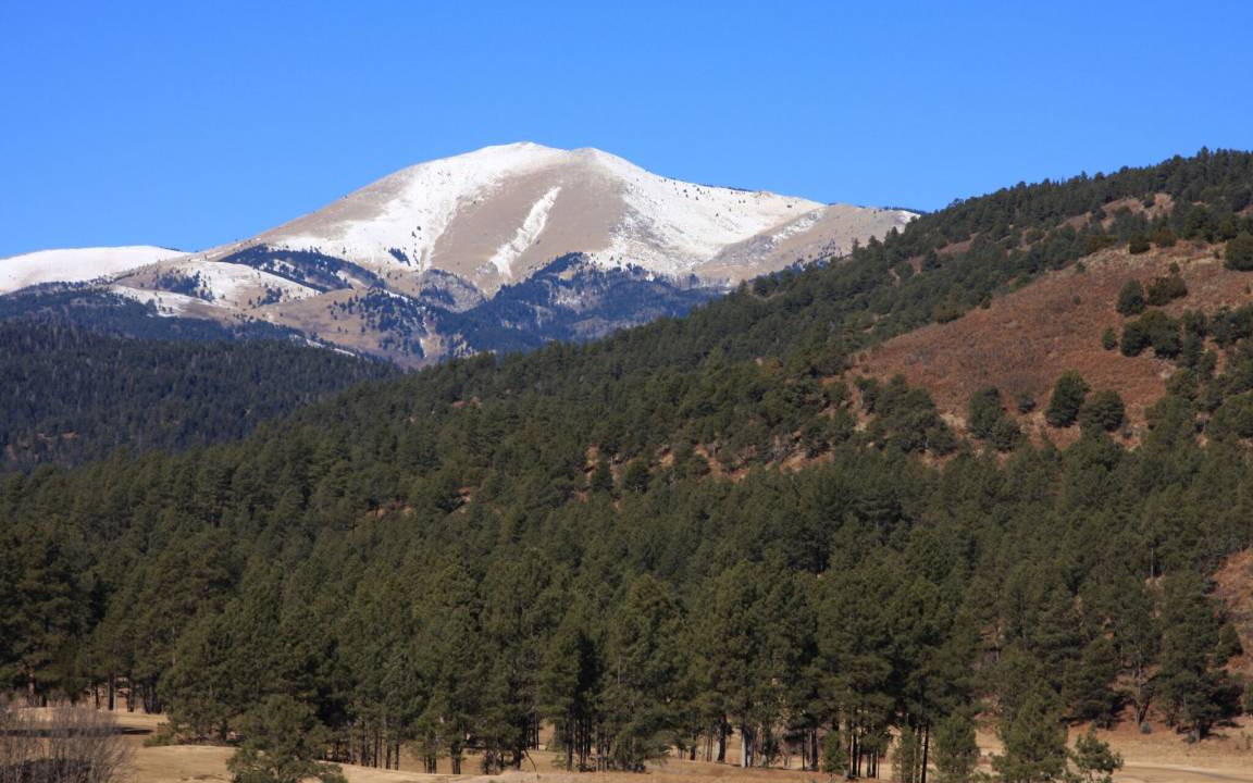 Photo of Others in Ruidoso