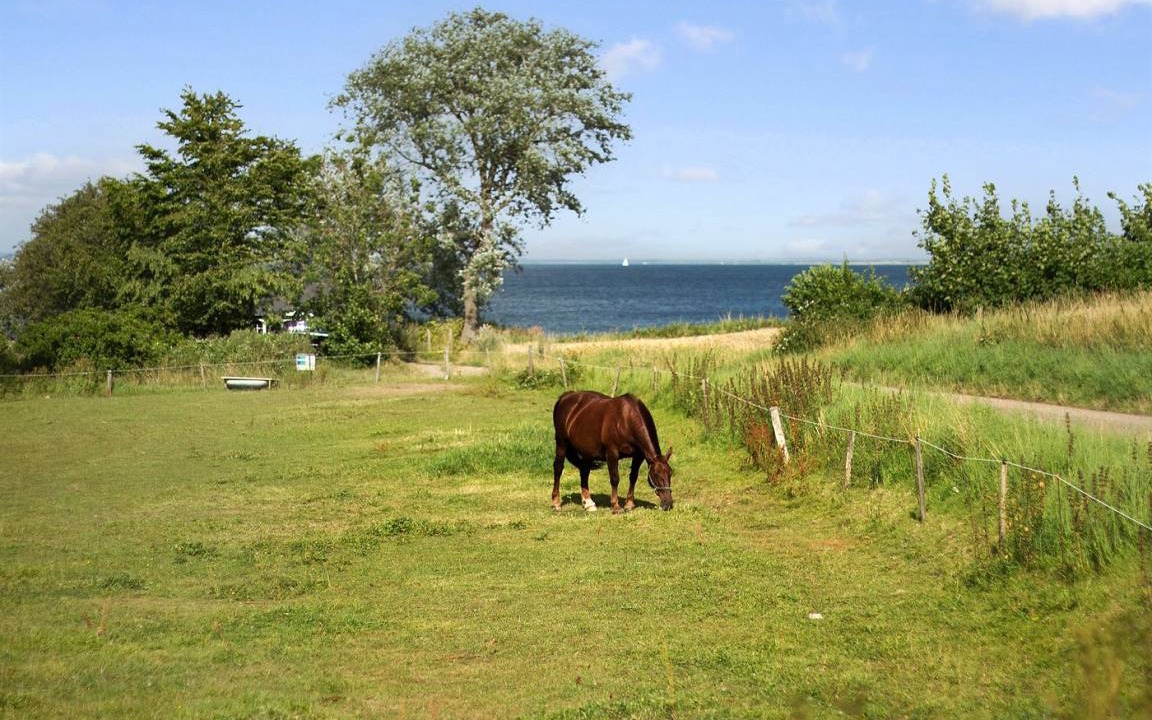 Photo of Others in Kettingskov
