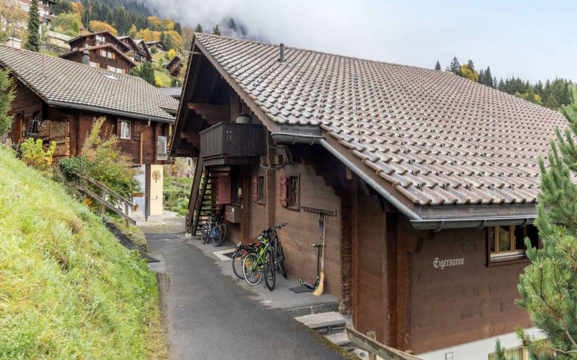 Photo of Others in Wengen