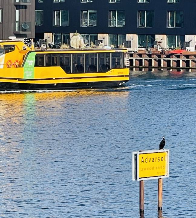Photo of Others in Sydhavnen