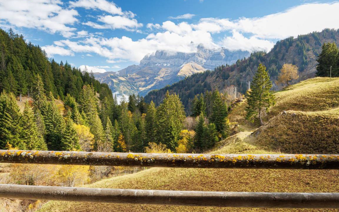 Photo of Others in Val d'Illiez