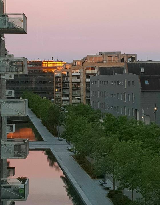 Photo of Others in Amager